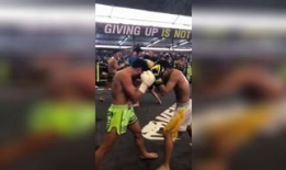 散打视频,从视频中汲取精华